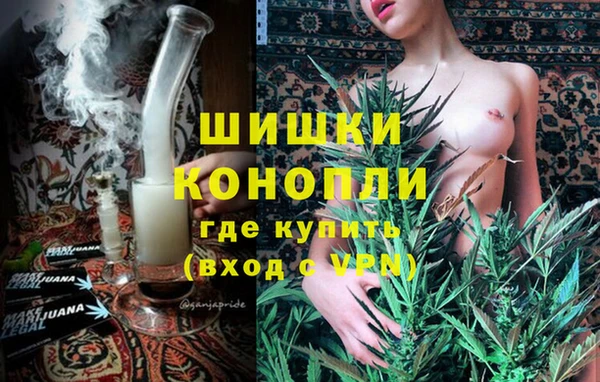 индика Лабытнанги