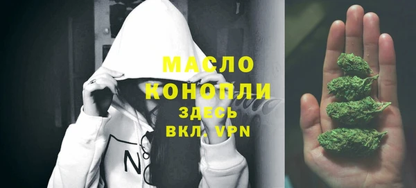 индика Ладушкин