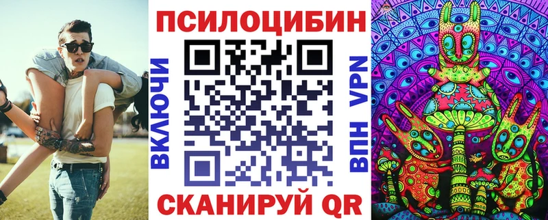 купить наркоту  Новая Ляля  Галлюциногенные грибы Psilocybine cubensis 