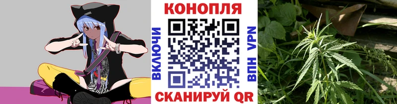 Каннабис семена  Новая Ляля 