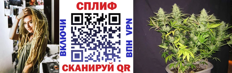 Конопля Amnesia Новая Ляля